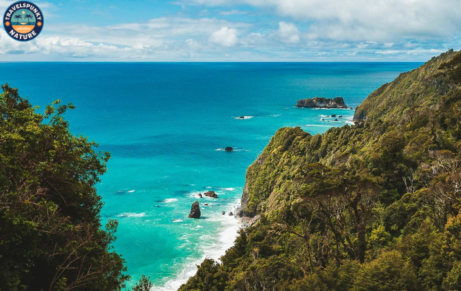 west coast island is the best place for honeymoon in newzealand