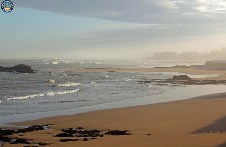 Essaouira Beach is one of the best beaches in morocco
