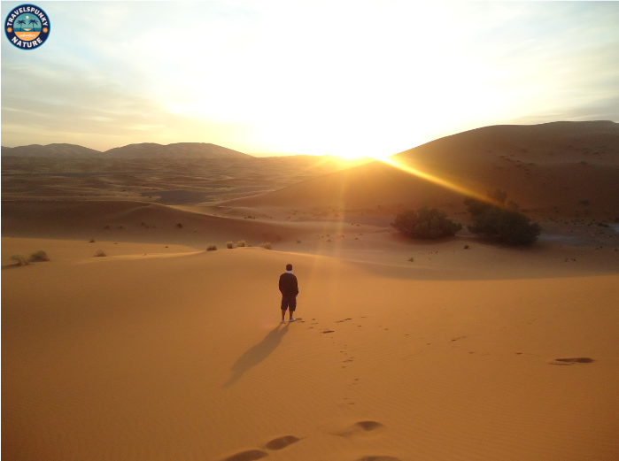 surviving tips in moroccan deserts