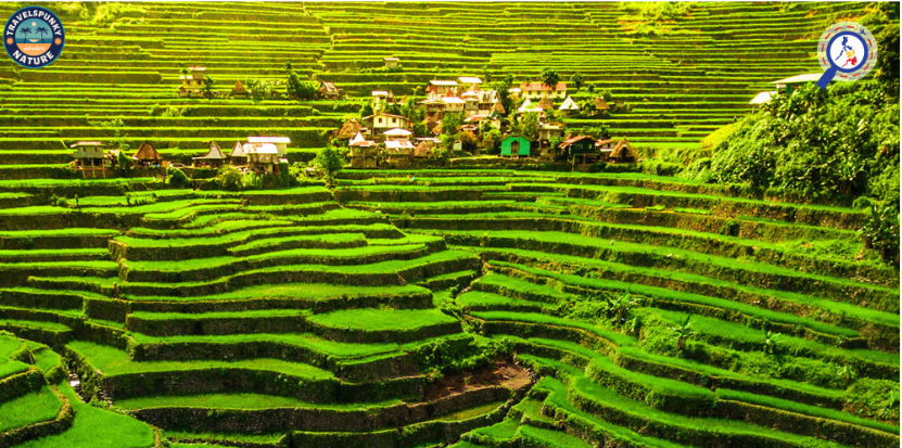 Banaue Rice Terraces is one of famous landmarks in the philippines