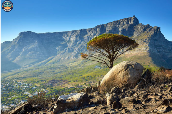 table mountain is one of famous landmarks in south africa